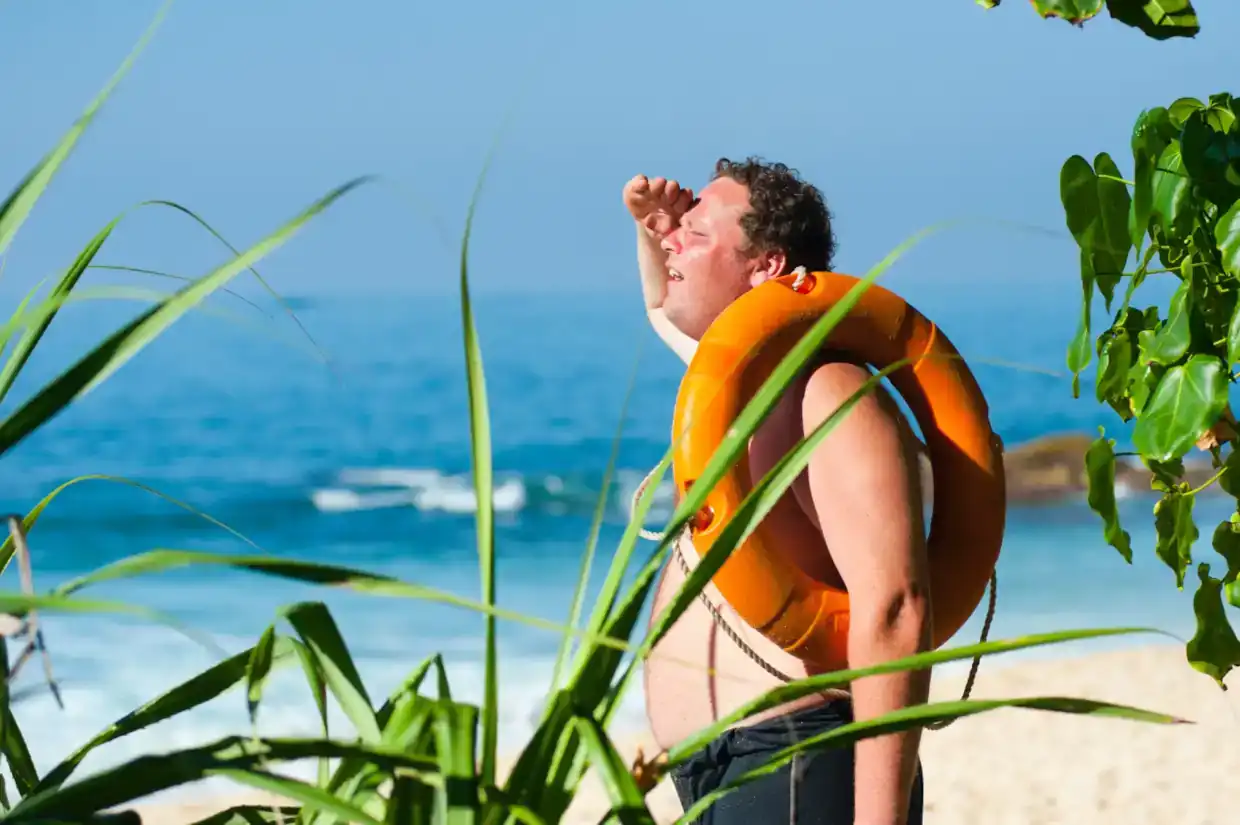 Searching for the Right Software: Unveiling Subjectivity and Priorities